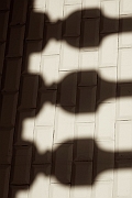 Wall_Art_Alphabet_Photography_Art_ 542